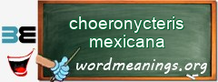 WordMeaning blackboard for choeronycteris mexicana